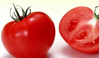 西红柿是谁