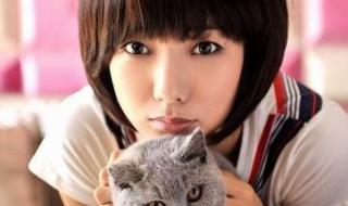 赵柯主演的电视剧