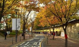 延世大学世界排名