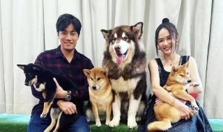 陈乔恩老公个人资料