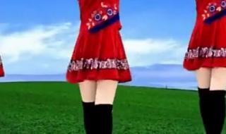 我从草原来广场舞